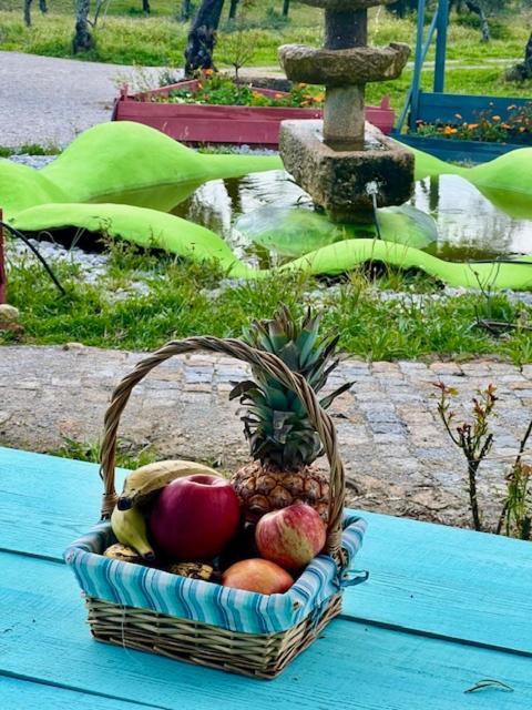 Bed and breakfast Zion Jardim Monsanto Extérieur photo