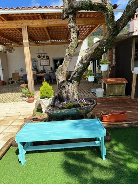 Bed and breakfast Zion Jardim Monsanto Extérieur photo